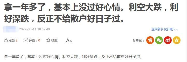 断崖式下滑！新乡化纤上半年净利同比大降98%，股价单边下跌一年多！网友：基本上没过好心情