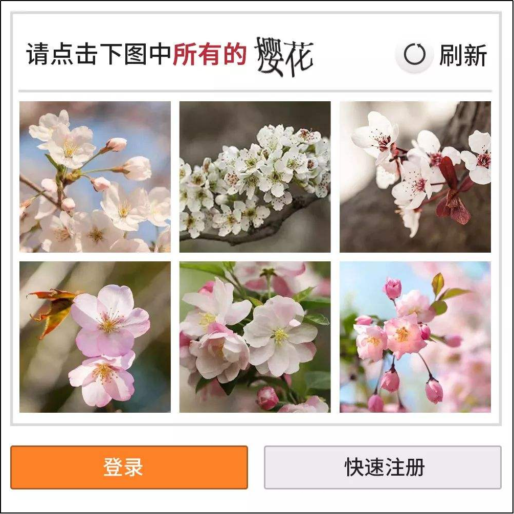 互联网苦「验证码」久矣(图3)