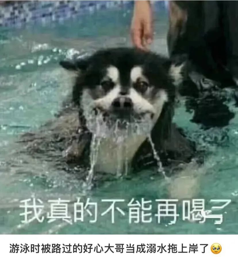 成年人游泳的快乐,是人均七岁的泳搭子给的-36氪