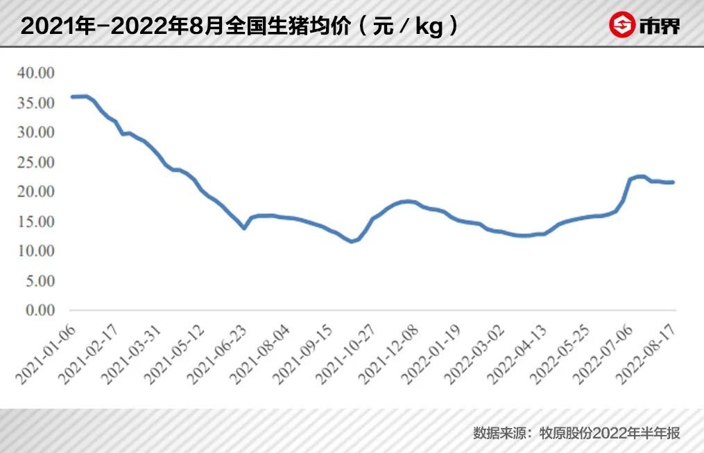 养猪改变命运，只是这一次不再是致富的故事(图4)