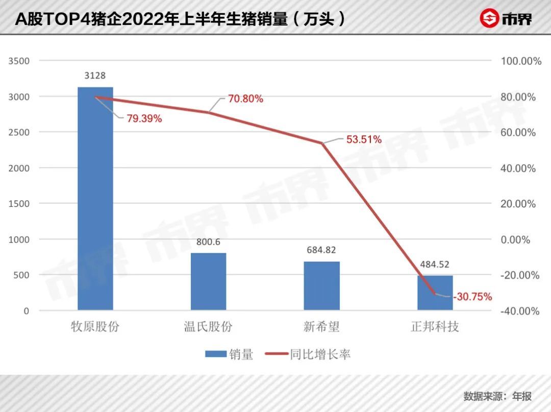 养猪改变命运，只是这一次不再是致富的故事(图12)