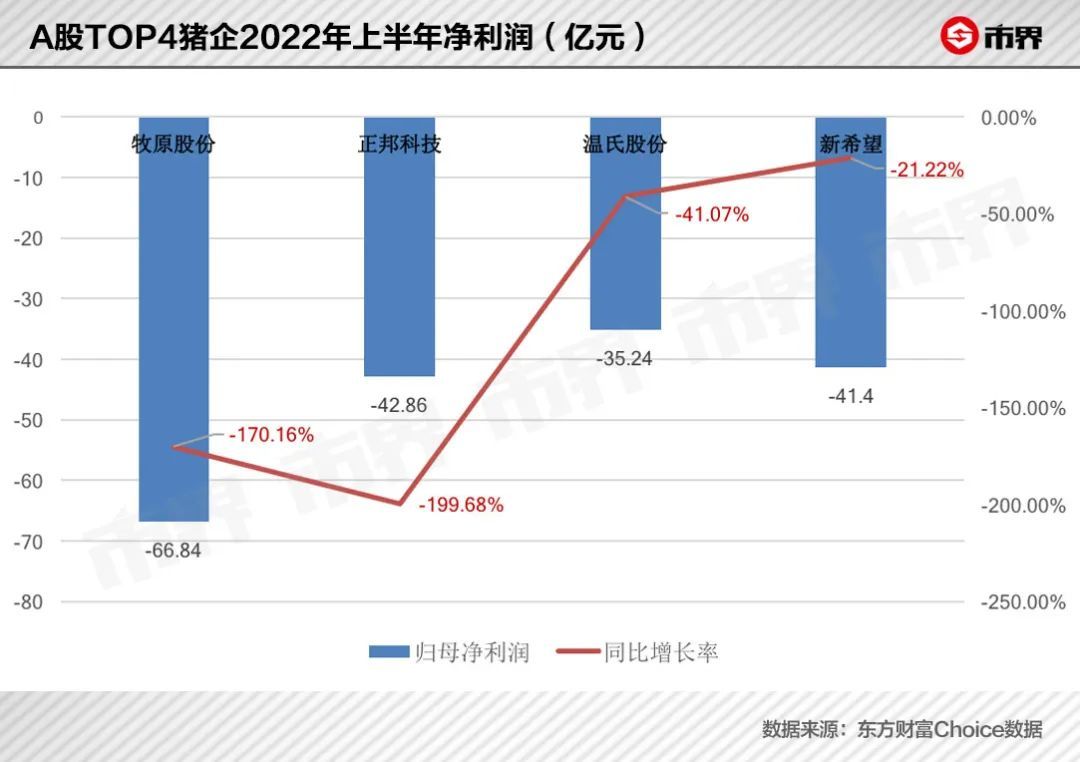 养猪改变命运，只是这一次不再是致富的故事(图1)