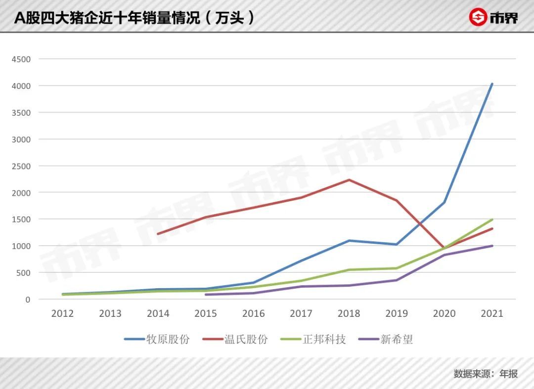 养猪改变命运，只是这一次不再是致富的故事(图11)