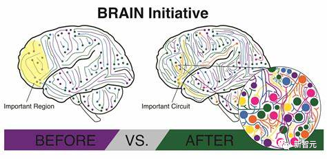 美国脑计划2.0，新细胞图谱项目投5亿美元，绘制史上最全人脑地图(图3)