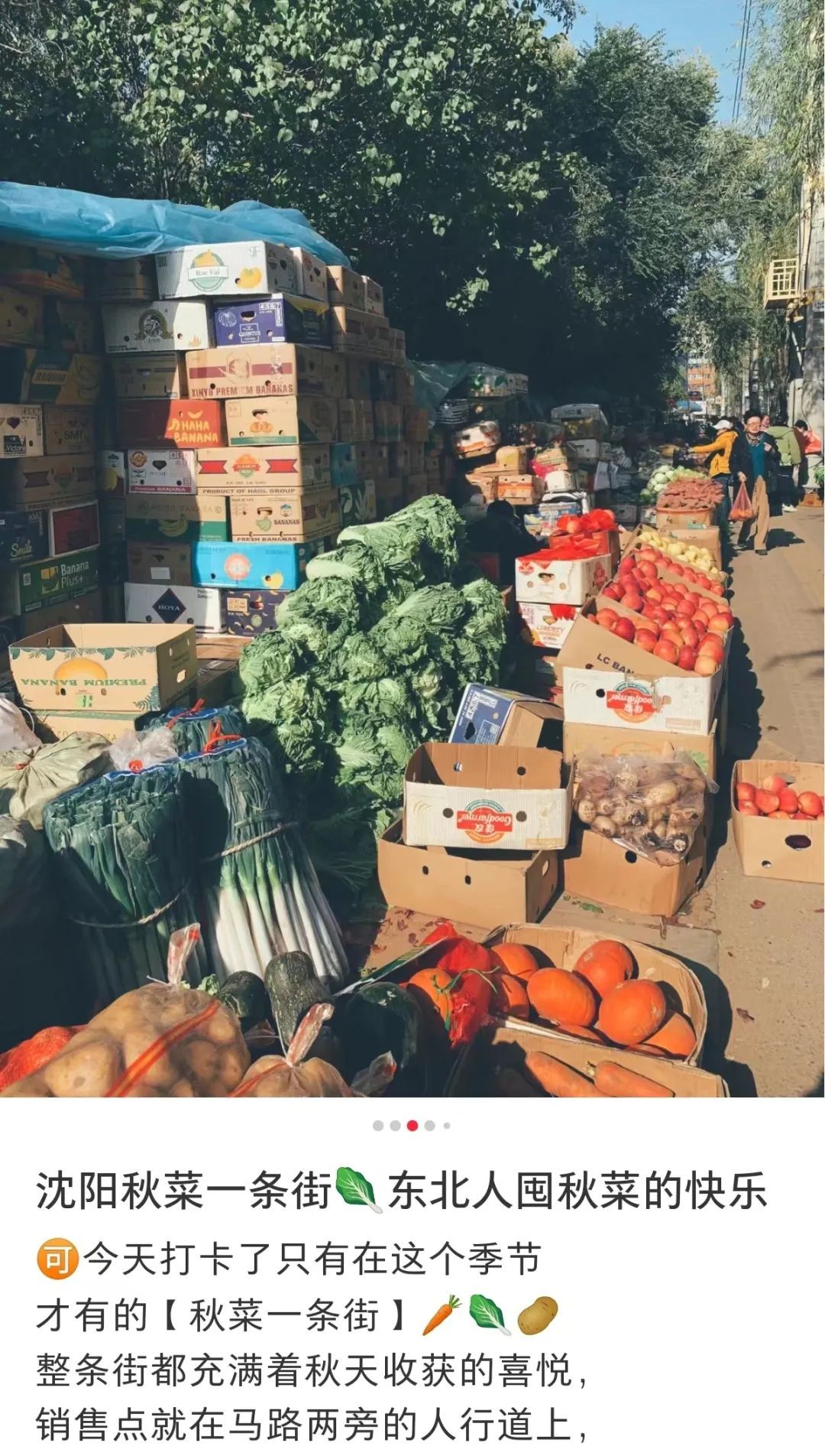 东北早市的流量密码，究竟是什么(图2)