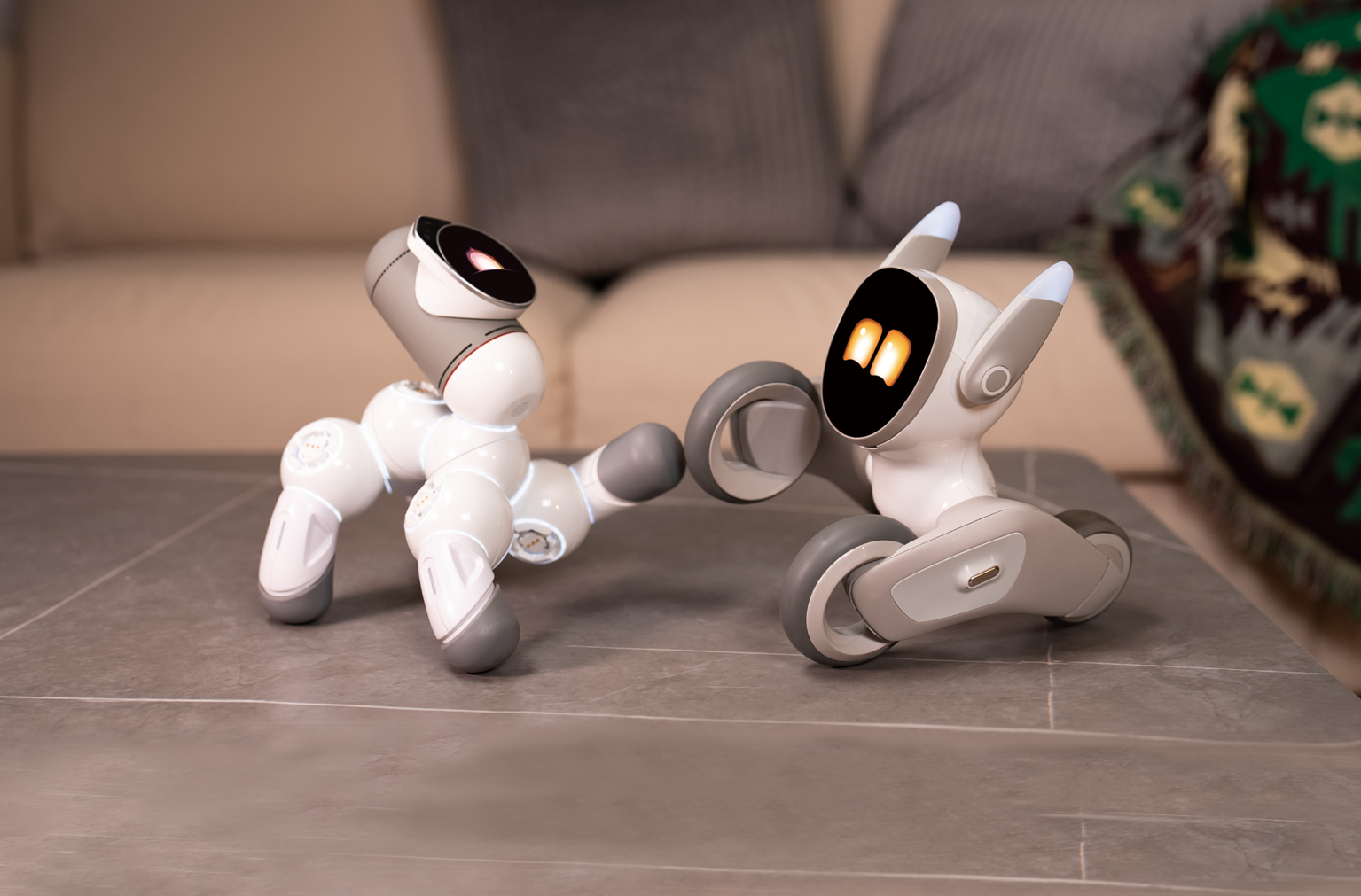 36氪项目报道 | 再造Kickstarter爆款，「可以科技」新品Loona有望夺消费机器人众筹历史销冠-36氪