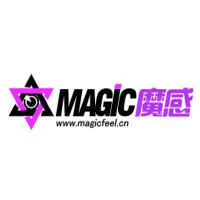 魔感互娱 | 项目信息-36氪