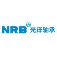 光洋股份 | 项目信息-36氪