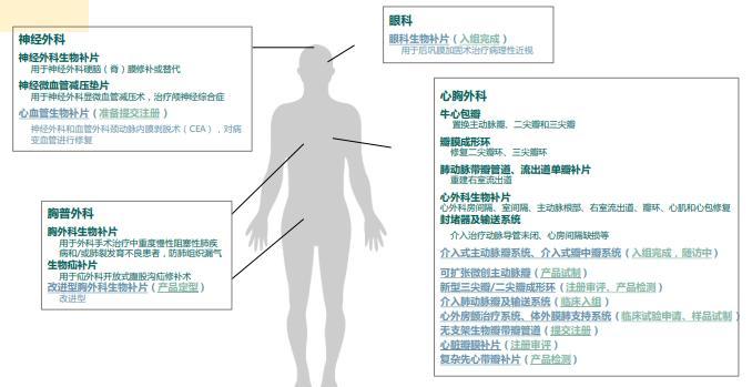 截取自2022年半年报