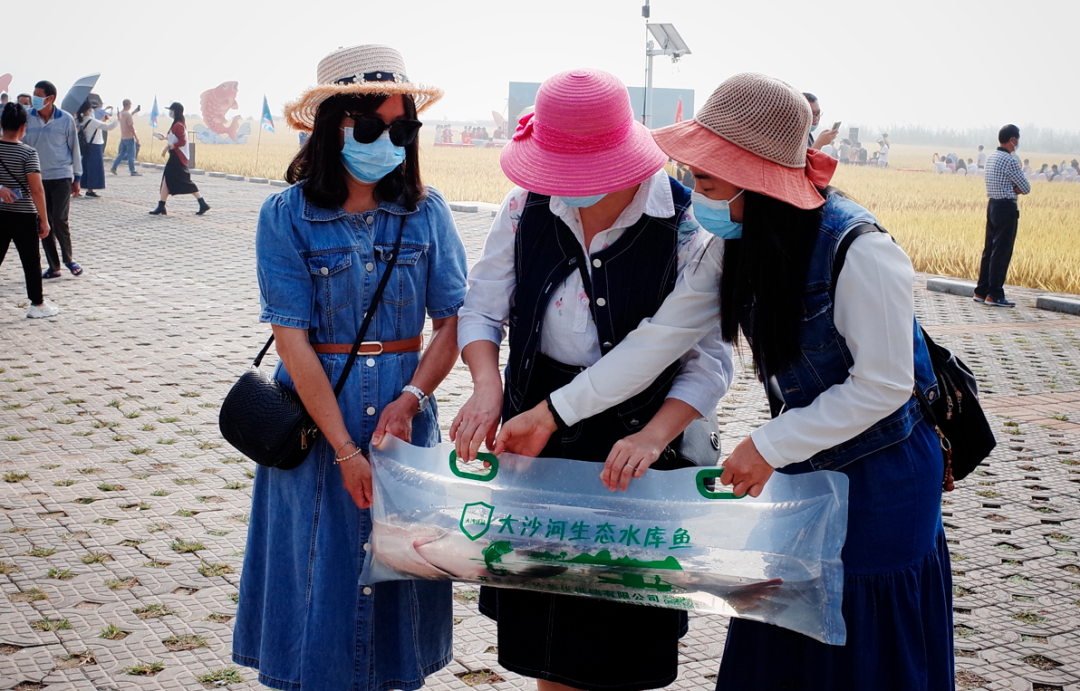 大湾区生活指南：在这里一边摸鱼一边挣钱(图5)