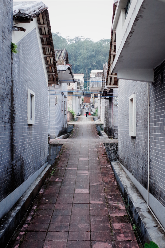 大湾区生活指南：在这里一边摸鱼一边挣钱(图3)