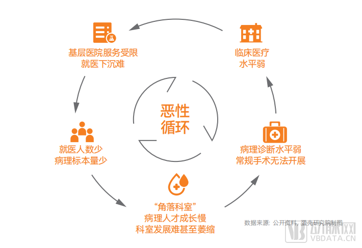 《中国智慧病理行业白皮书》发布：商业化初露锋芒，直击病理AI的破与立(图4)