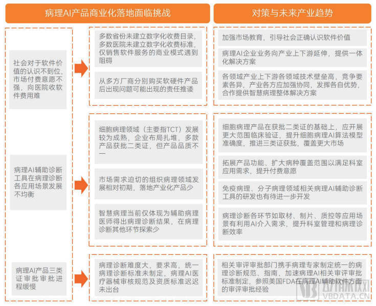 《中国智慧病理行业白皮书》发布：商业化初露锋芒，直击病理AI的破与立(图14)