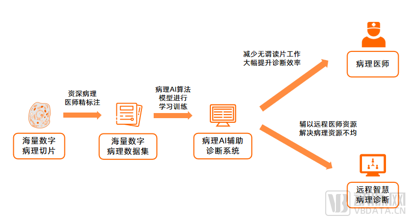 《中国智慧病理行业白皮书》发布：商业化初露锋芒，直击病理AI的破与立(图5)