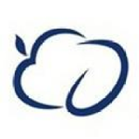 company-logo