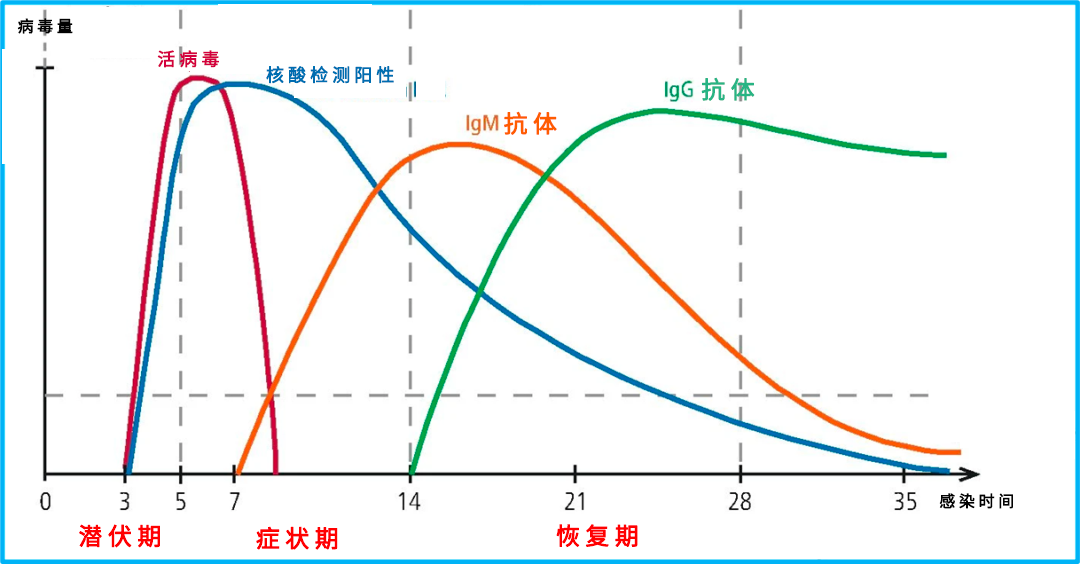 感染新冠后，几天能生成抗体？-36氪