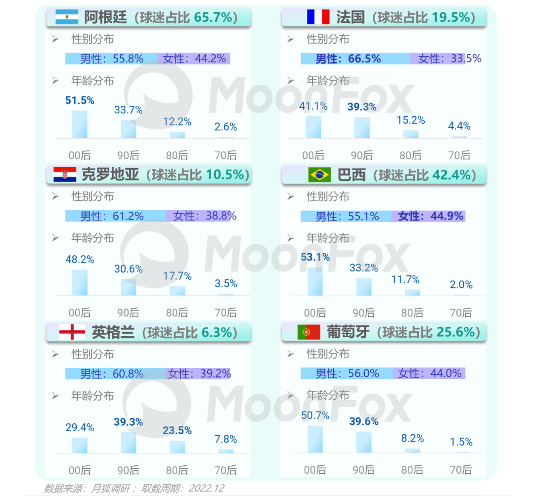 数据报告：2022卡塔尔世界杯移动互联网洞察报告(图9)