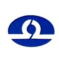 company-logo