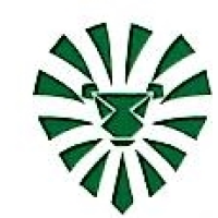 company-logo