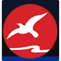 company-logo