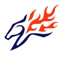 company-logo