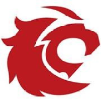 company-logo