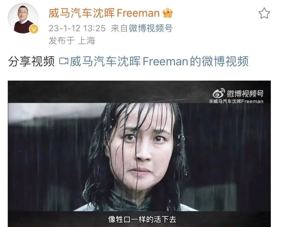 威马将到账20亿，估值170亿最快二季度港股挂牌，CEO：像牲口一样活下去-36氪