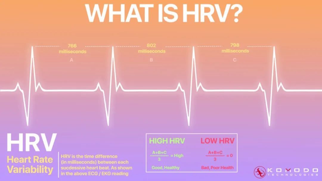 心率指標:複訓後重要的健康指標