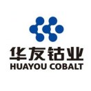 company-logo