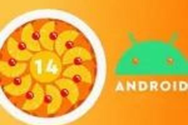 Android 14首个预览版来了，这些亮点值得关注-36氪