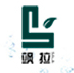 company-logo