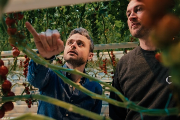 海外new things | 荷兰农业技术初创「Source.ag」A轮融资2300万美元，借助人工智能模型调整温室种植环境-36氪