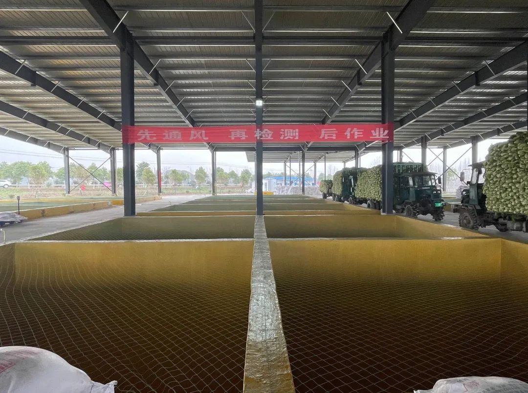 土坑酸菜风波一周年实探插旗菜业中国芥菜之乡的阵痛和救赎