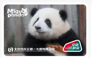 【レア品！新品・未使用品】和花ちゃん視点の限定品写真集「大熊猫的朋友圏」 あちな* on X: 
