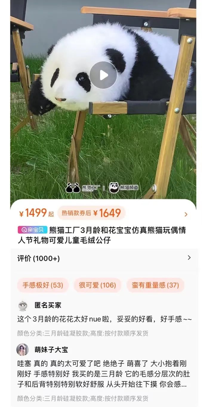 【レア品！新品・未使用品】和花ちゃん視点の限定品写真集「大熊猫的朋友圏」 あちな* on X: 