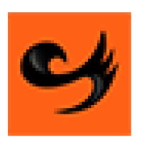 company-logo