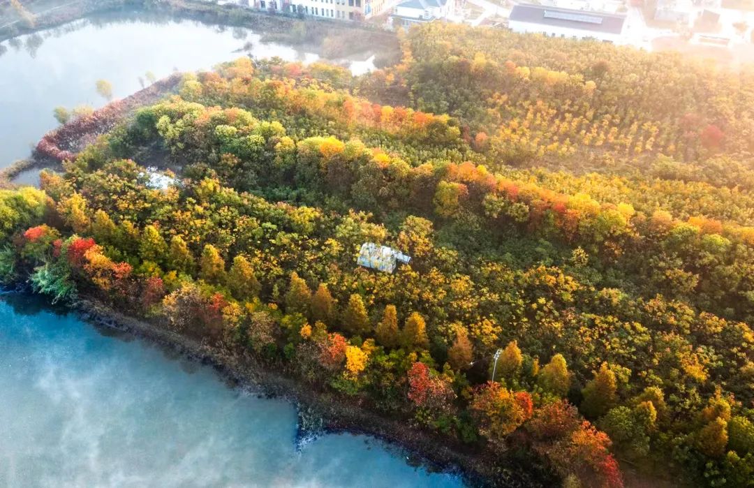 江苏200亩荒野农场:女性占9成,一起过低消费生活-36氪