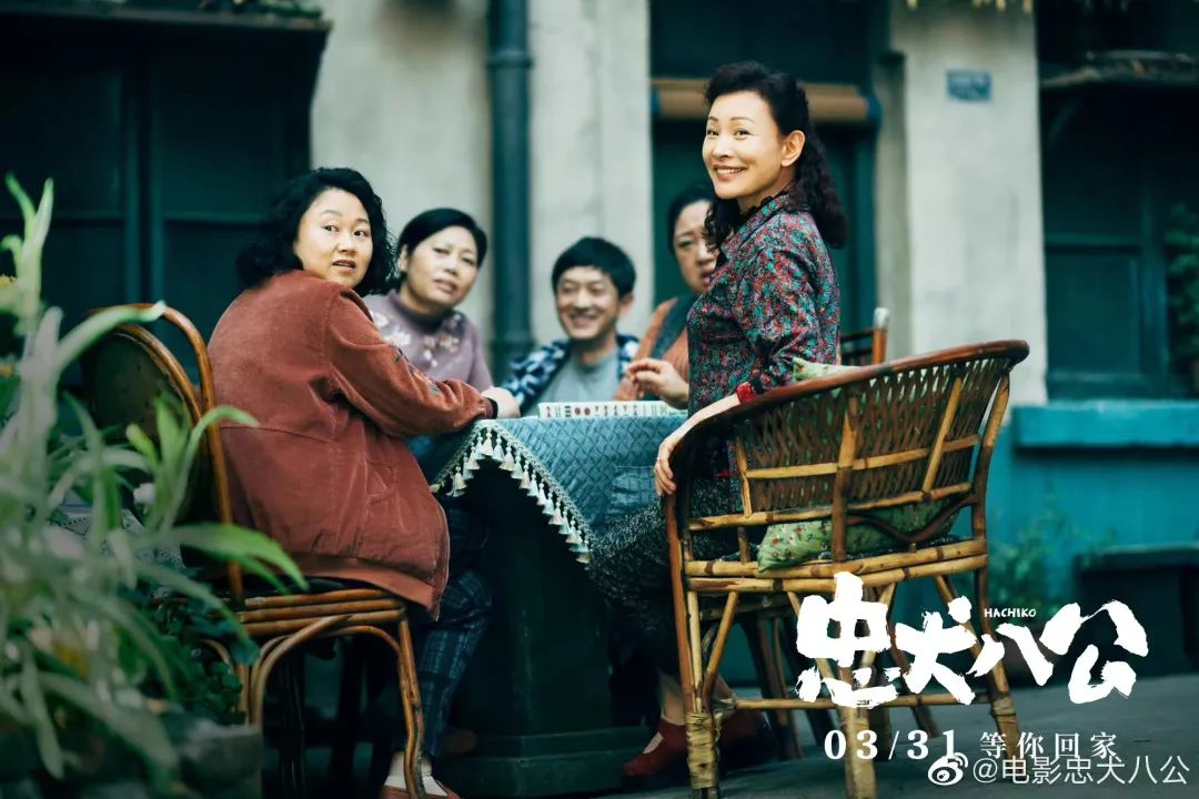 我们需要一部中国版《忠犬八公》吗？-36氪