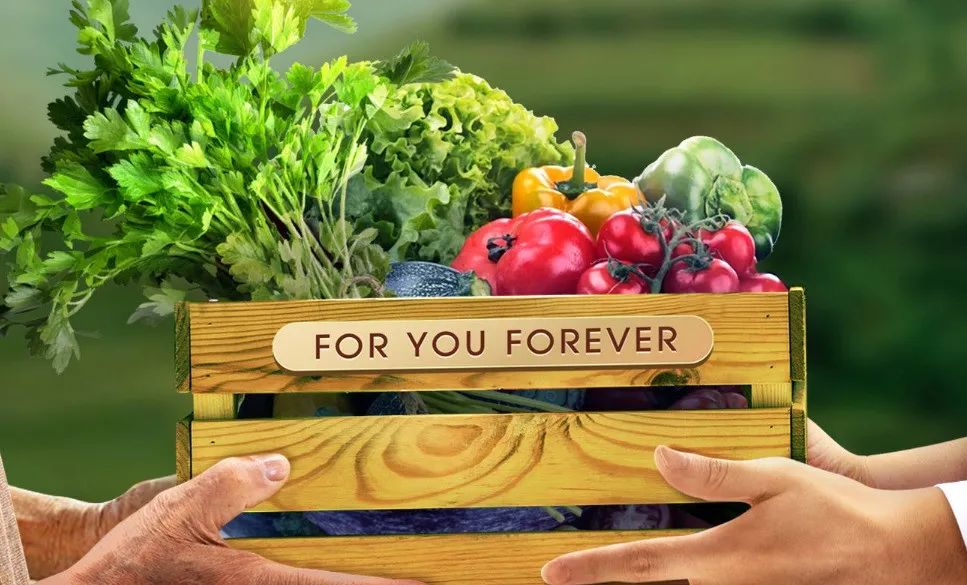 v2_592b676ac1d741deb6d15d33051dc29c@693195335_oswg106710oswg967oswg585_img_000