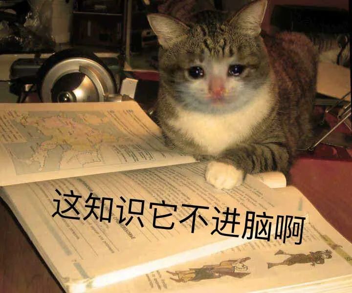 家里吵，学校吵，学习成绩怎么可能好-36氪