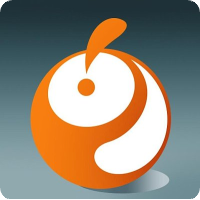 company-logo
