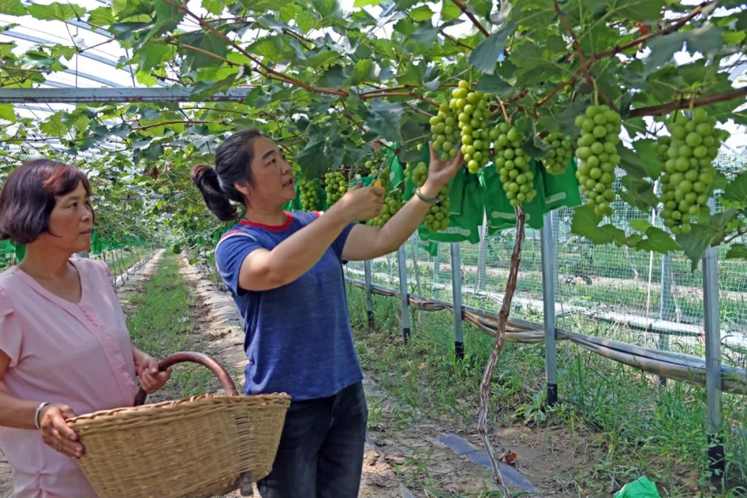 这届年轻人，不再惯着“水果刺客”(图7)