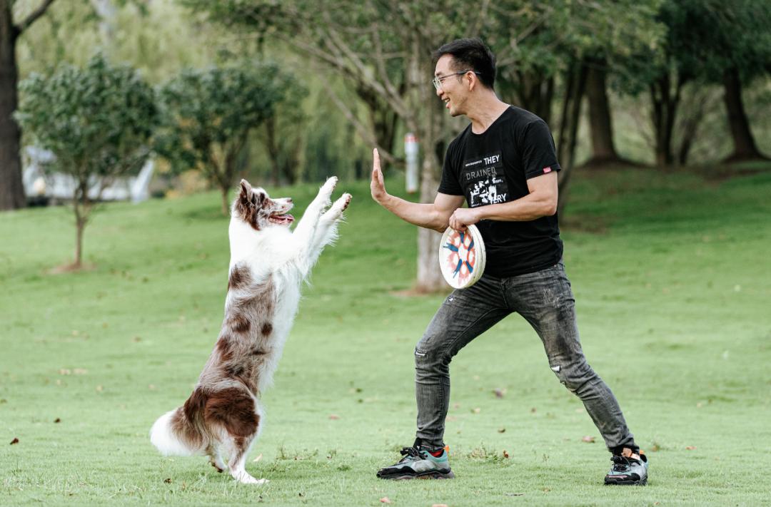 年轻人开始流行街头抱树：比抱男朋友更爽-36氪