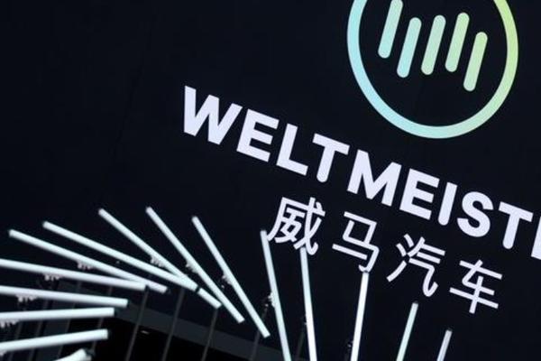 威马借壳上市失败，董事长：这周在国外出差-36氪