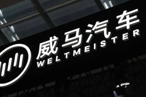 威马借壳失败，沈晖远遁他乡-36氪