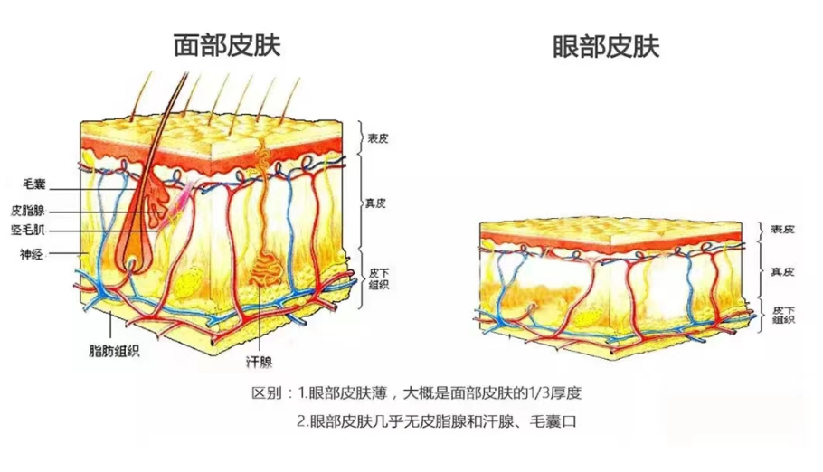 管家婆马报图今晚