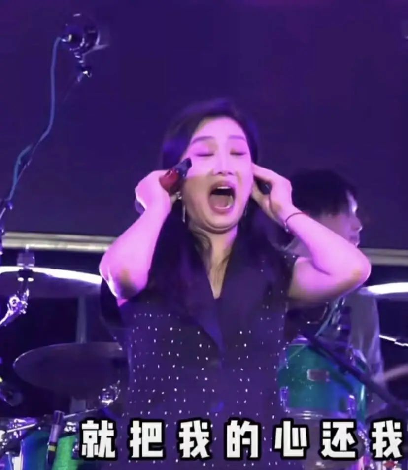 “花499给凤凰传奇唱一晚上歌”，打工人现在流行去演唱会当“怨种”？(图5)