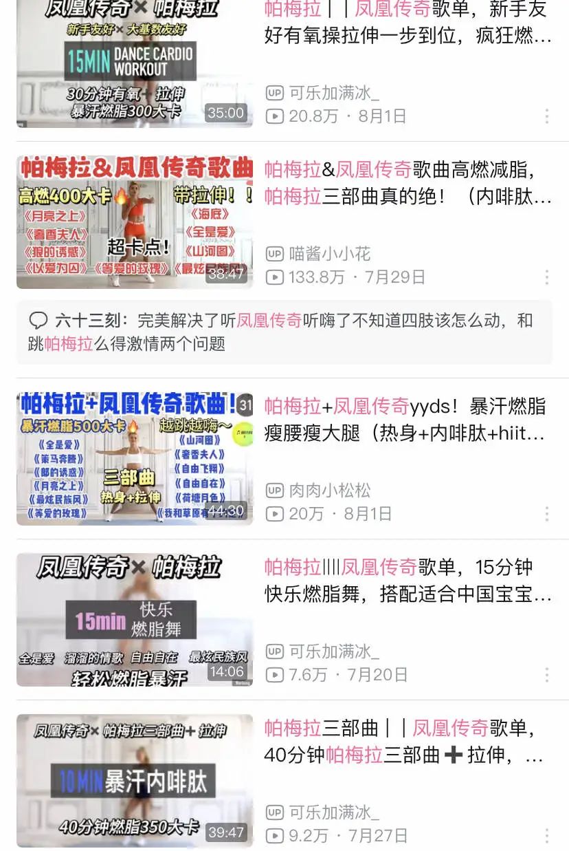 “花499给凤凰传奇唱一晚上歌”，打工人现在流行去演唱会当“怨种”？(图6)