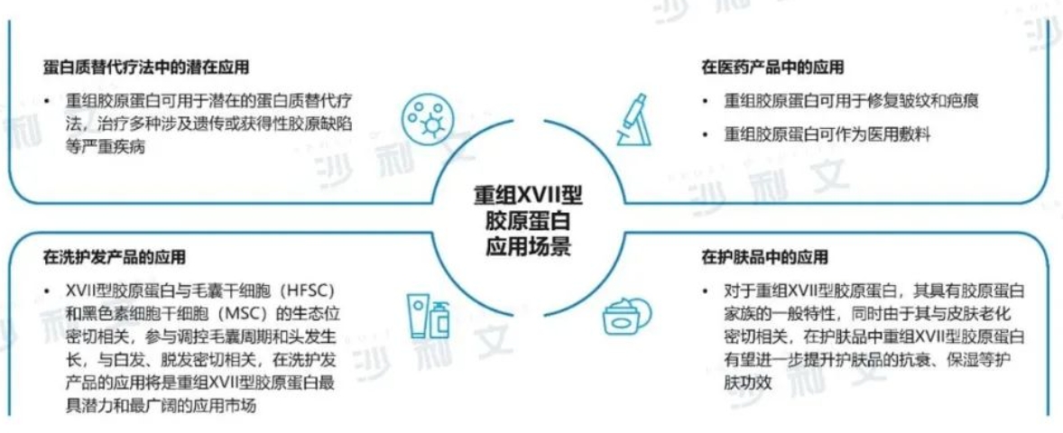 能防脱的重组XVII型胶原蛋白来了，新原料如何补充妆品和医美“弹药库”？