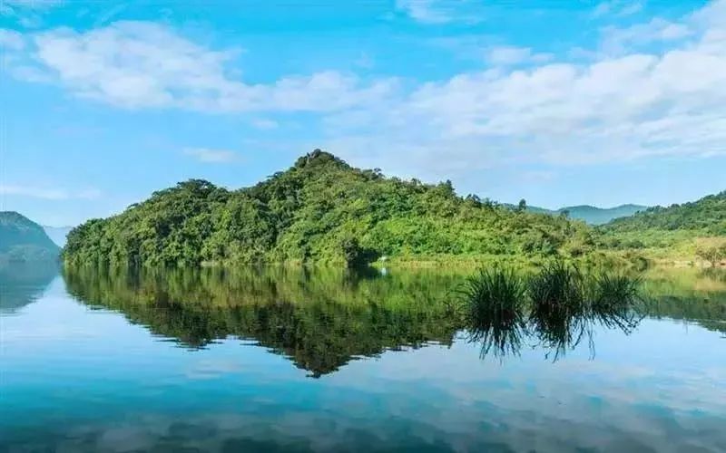 盘点2023典型文旅投资：哪些标的最受资本青睐？(图11)